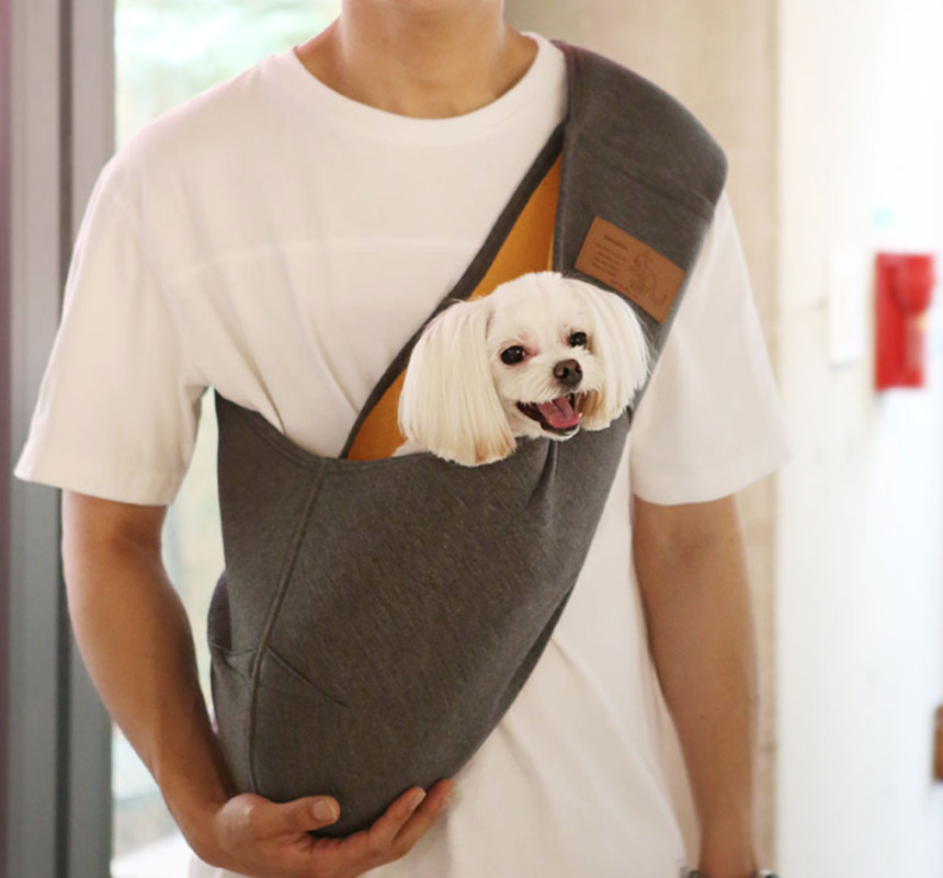 It's dog puppy Sling back Kangaroo Gray Dog mob