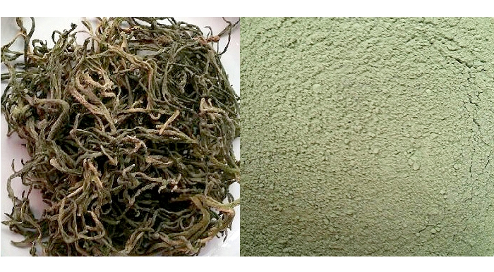 청각가루 청각분말 청각소금 250g 천연조미식품 건강선식 해초류 - 상세 이미지 2