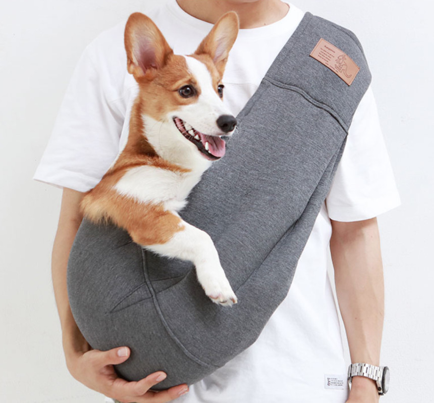 It's dog puppy Sling back Kangaroo Gray Dog mob