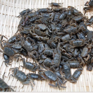 간장칠게장 칠게장 1kg 간장게장 설은게 화랑게 칠게젓 기젓 맛있게 먹은 솔직 후기 - 상품 이미지 2