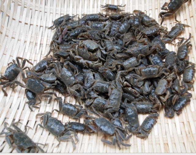 간장칠게장 칠게장 1kg 간장게장 설은게 화랑게 칠게젓 기젓 — 여름철 밥상을 책임질 든든한 메뉴