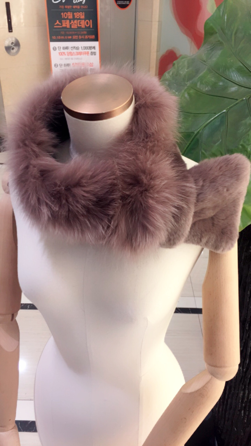 Agatha Lily Fox SB1UMF065