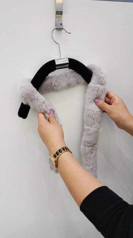 Alder Petit Rex AO0002 20th anniversary meeting an