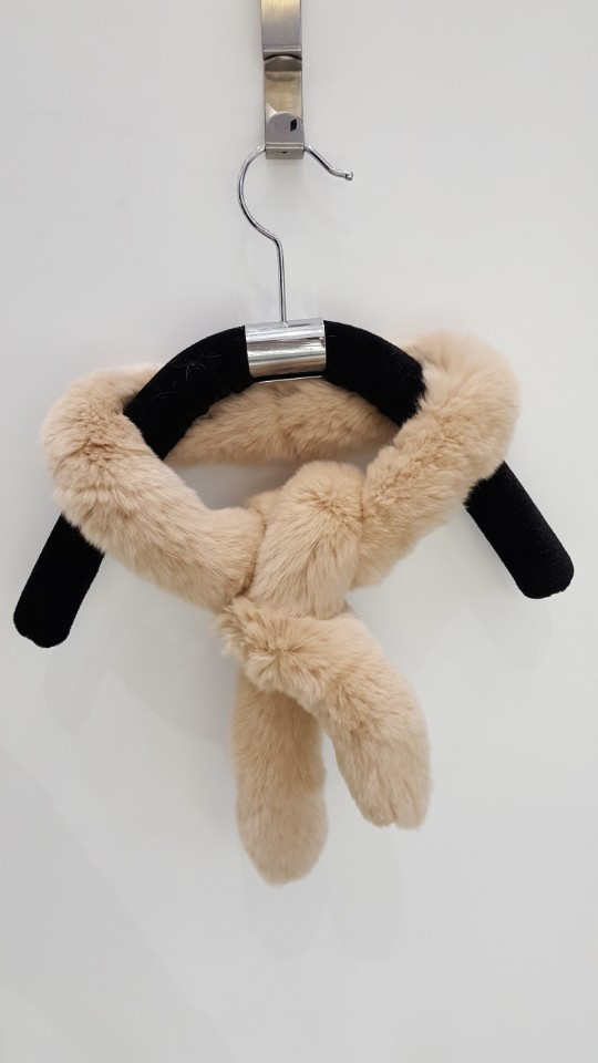 Alder Petit Rex AO0002 20th anniversary meeting an