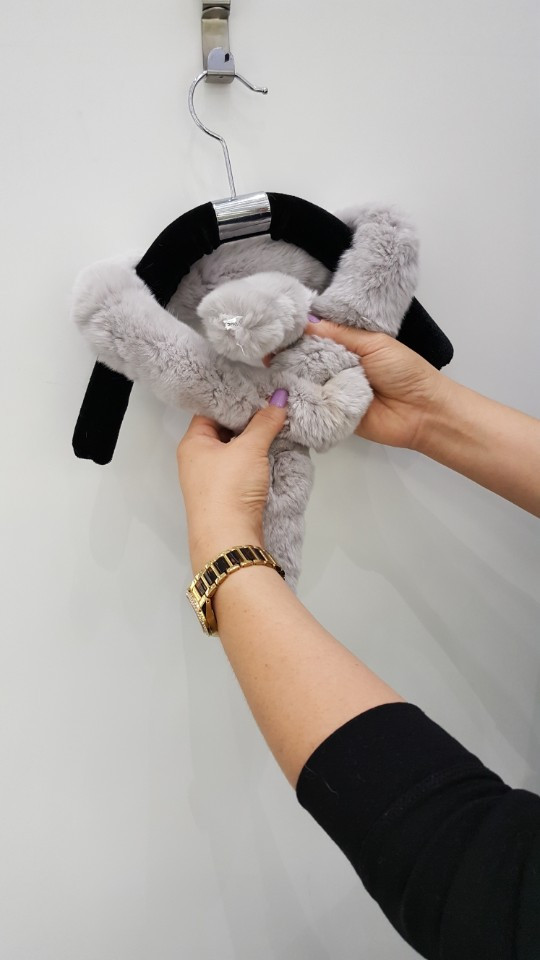 Alder Petit Rex AO0002 20th anniversary meeting an