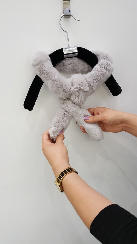 Alder Petit Rex AO0002 20th anniversary meeting an