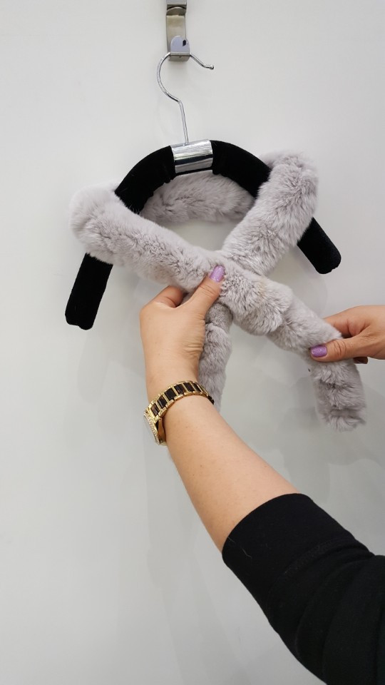 Alder Petit Rex AO0002 20th anniversary meeting an