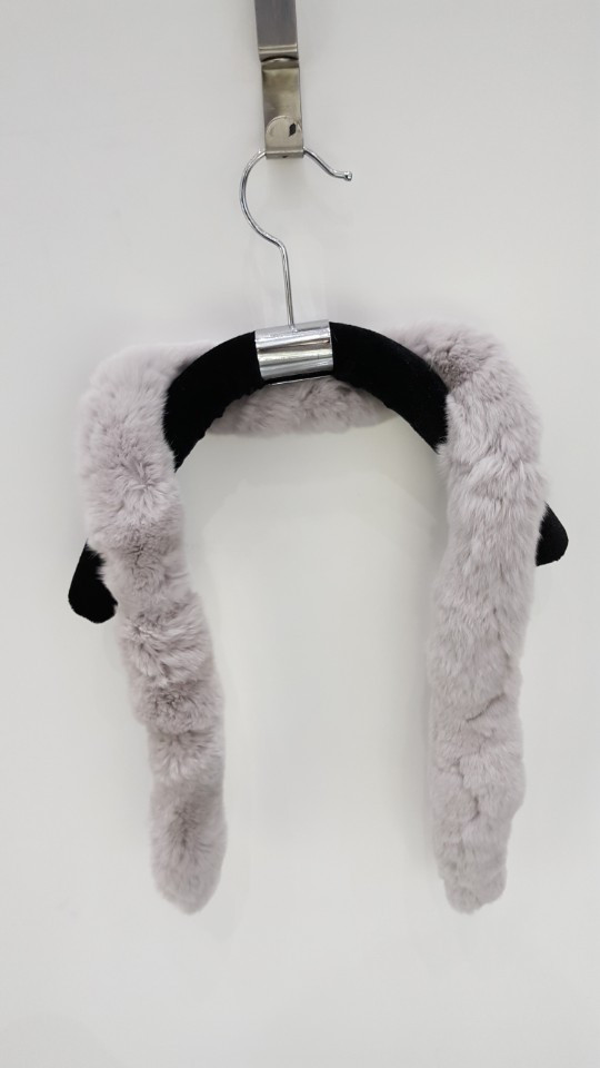 Alder Petit Rex AO0002 20th anniversary meeting an