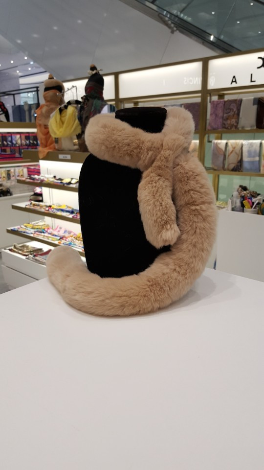 Alder Petit Rex AO0002 20th anniversary meeting an