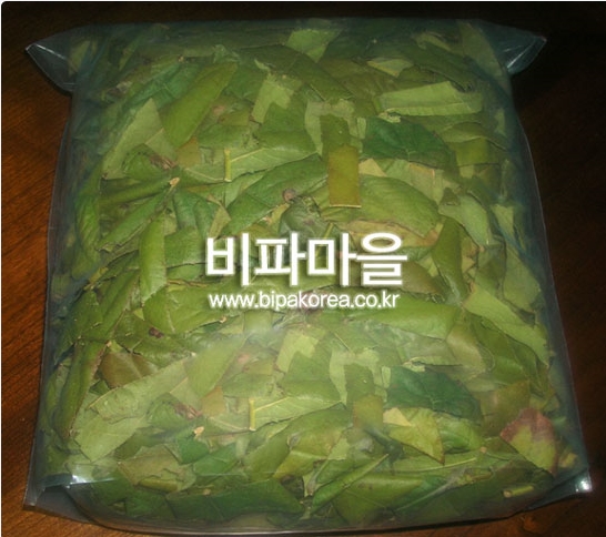 비파잎 비파차 100g 말린것100% 건비파잎 - 상세 이미지 2