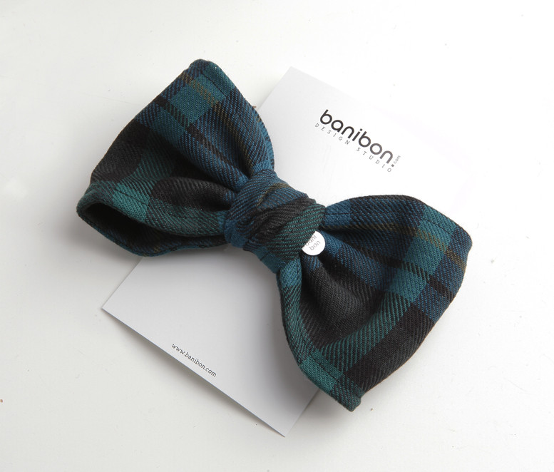 Hair Accessories Green Check Hairpins