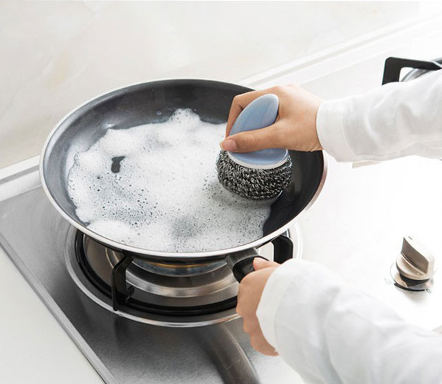 Scrubber Dish Washing Sally's Modern Handle
