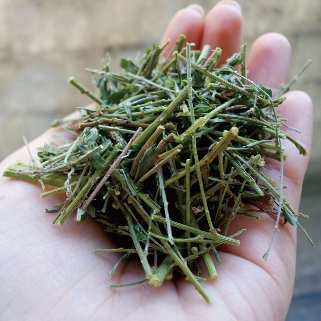 산청 야관문 250g - 상품 이미지