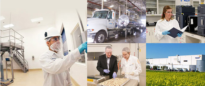 Synthetic 6 Korean BSN Edge 28 Serving Protein Hea