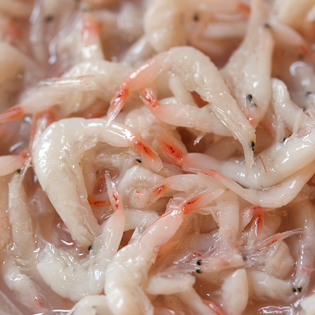 국산 새우젓 1kg 광천토굴 새우젓 - 상세 이미지 3
