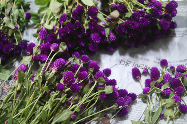 Blessing Message Soi Candle Christmas New Year Gif