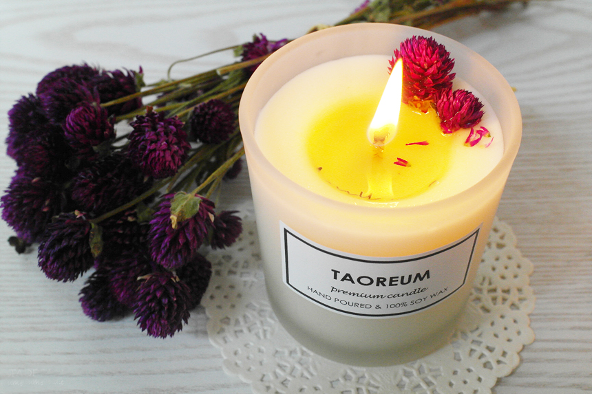 Message Soji Candle Fly Day Day Gift Dry Flower Pr