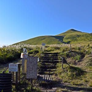 후쿠오카 유후인 일일 버스투어 여행 온천 유후다케 히타 다자이후 솔직 후기 | 실사용자 리뷰 분석 - 상품 이미지 3