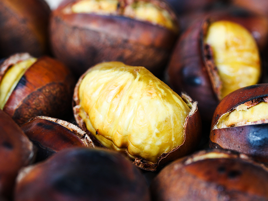 <b><p>Korean At night roast Ey Nutritious snack</p></b><b><p>韓国語 夜に 焼き 簡単 栄養おやつ 栗 100グラム カンバム 脱却夜</p></b><br /><br /><p align='center'>