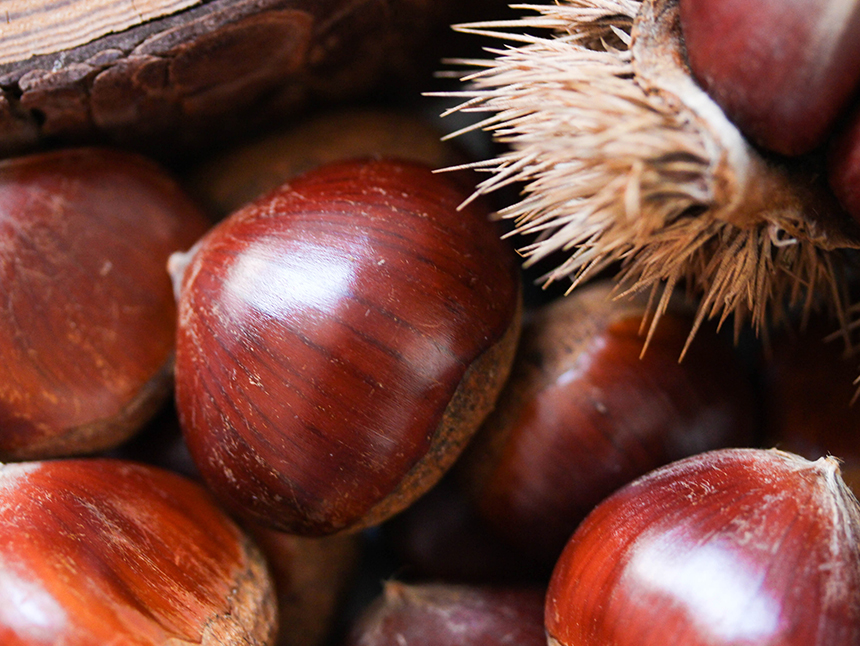 <b><p>Korean At night roast Ey Nutritious snack</p></b><b><p>韓国語 夜に 焼き 簡単 栄養おやつ 栗 100グラム カンバム 脱却夜</p></b><br /><br /><p align='center'>