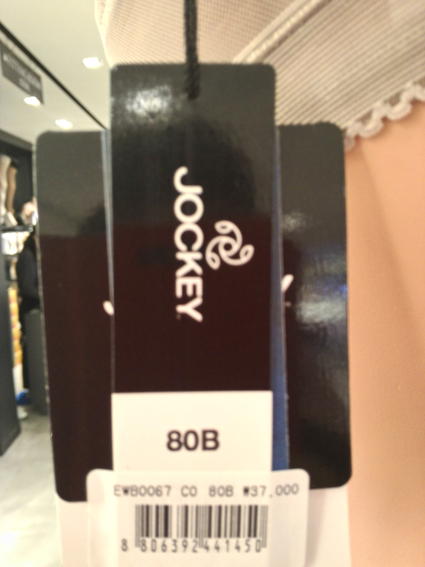 Ele Innerware Brown Noir Bra EWB0057