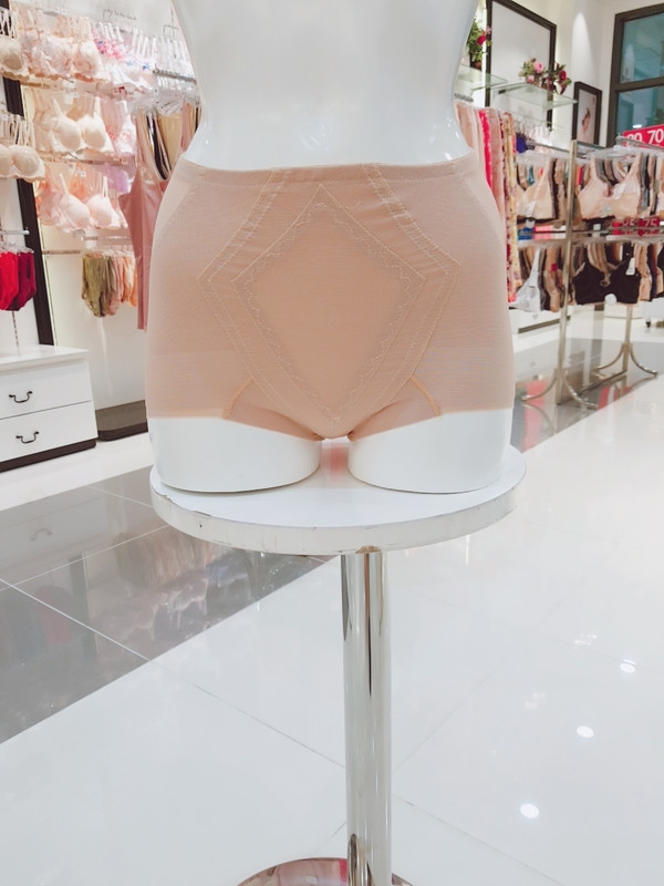 Wacoal skins Hamline correction girdle WGR1041S OB