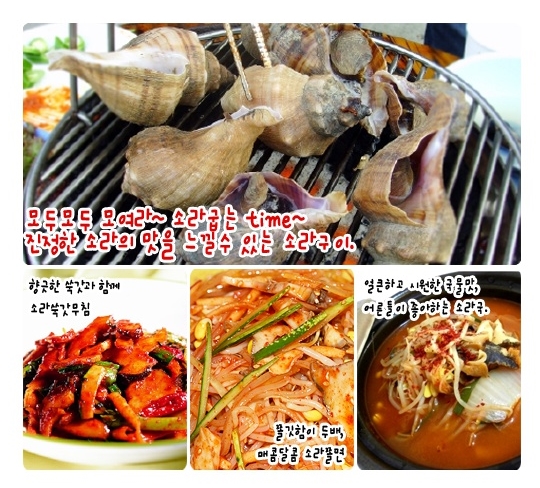 참소라 1kg 조개구이 소라구이 소라찜 (조업당일발송상품) - 상세 이미지 2