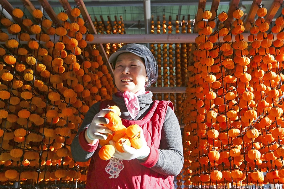 충북영동 신농곶감 대봉 반건시 곶감 2 Kg 이미지 6