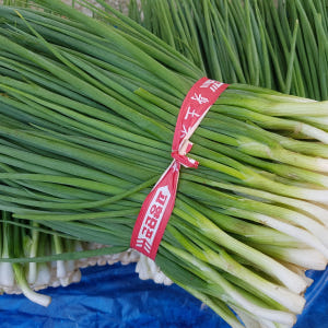 [직접재배] 당일손질 실파 잔파 흙쪽파 깐쪽파 맛있게 먹은 솔직 후기 - 상품 이미지 1