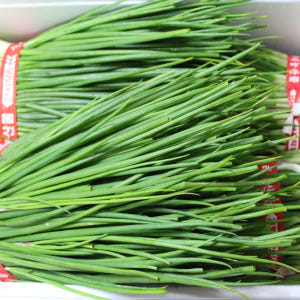 [직접재배] 당일손질 실파 잔파 흙쪽파 깐쪽파 맛있게 먹은 솔직 후기 - 상품 이미지 2