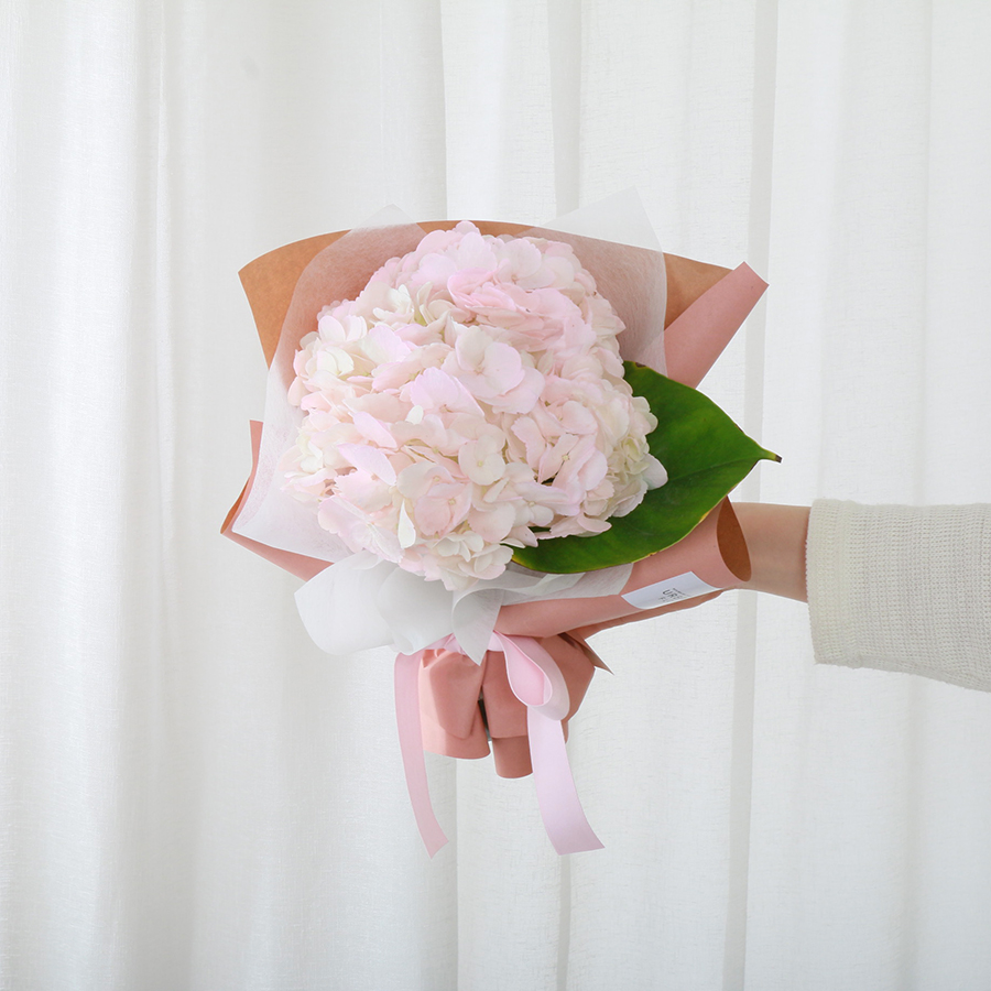 수국꽃다발 핑크 블루 생화 기념일 생일 축하 꽃배달 생화택배