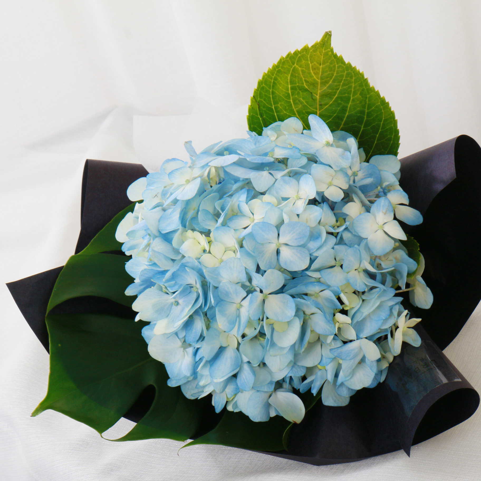 수국꽃다발 핑크 블루 생화 기념일 생일 축하 꽃배달 생화택배