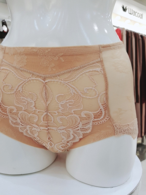 Wacoal Satin Soft girdle panties WGR2100S SK weddi