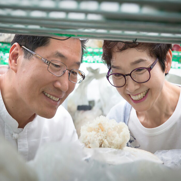 경신바이오 꽃송이버섯 효소 가루 효능 발효현미버섯 천 스틱형 405g 이미지 6
