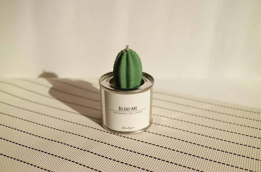 Cactus Cans Soya Candle + Free wrapping Handmade g