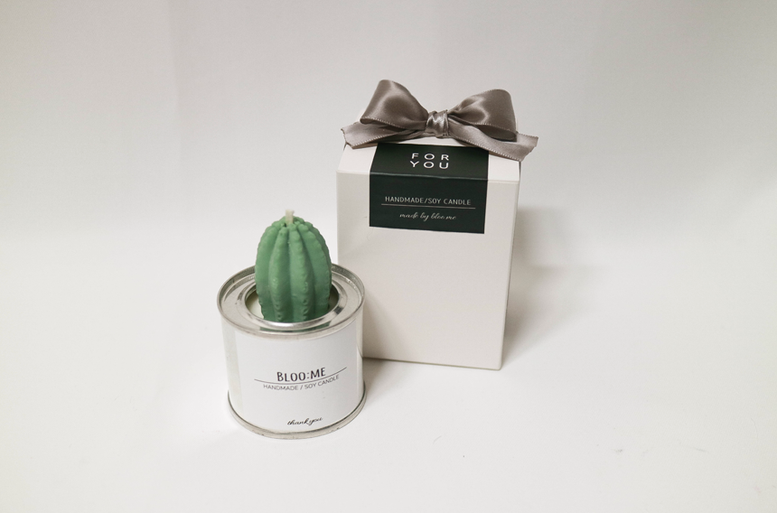 Cactus Cans Soya Candle + Free wrapping Handmade g