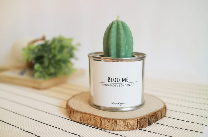 Cactus Cans Soya Candle + Free wrapping Handmade g