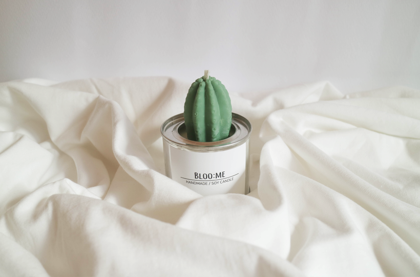 Cactus Cans Soya Candle + Free wrapping Handmade g