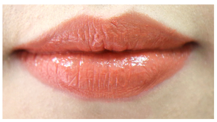 Sandhya Camellia Lipstick Glossy Point Directing F