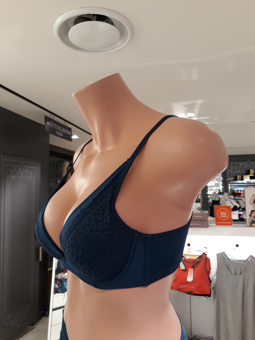 Elegant Blue Deep Vnoyear Bra EWB0042