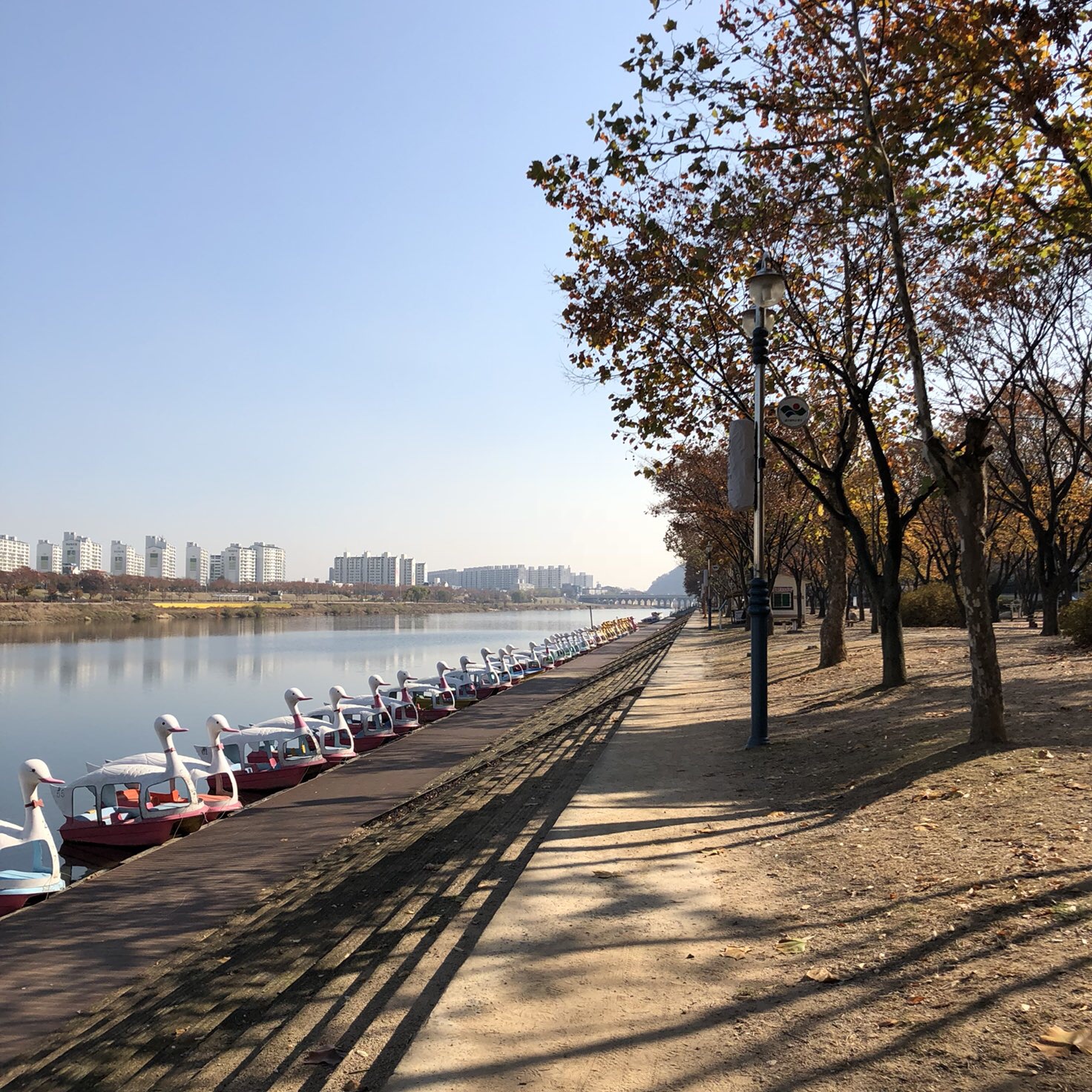 TOTE ECO SHOPPING TRAVEL Tumbler Shoulder Eco Bag 