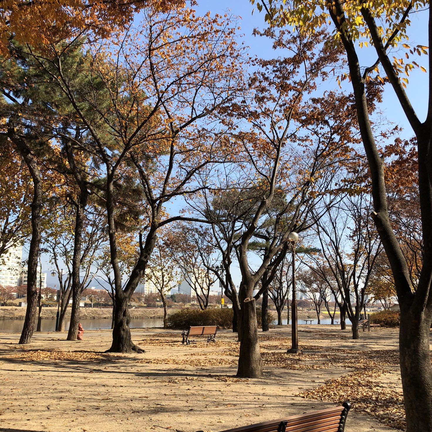 TOTE ECO SHOPPING TRAVEL Tumbler Shoulder Eco Bag 