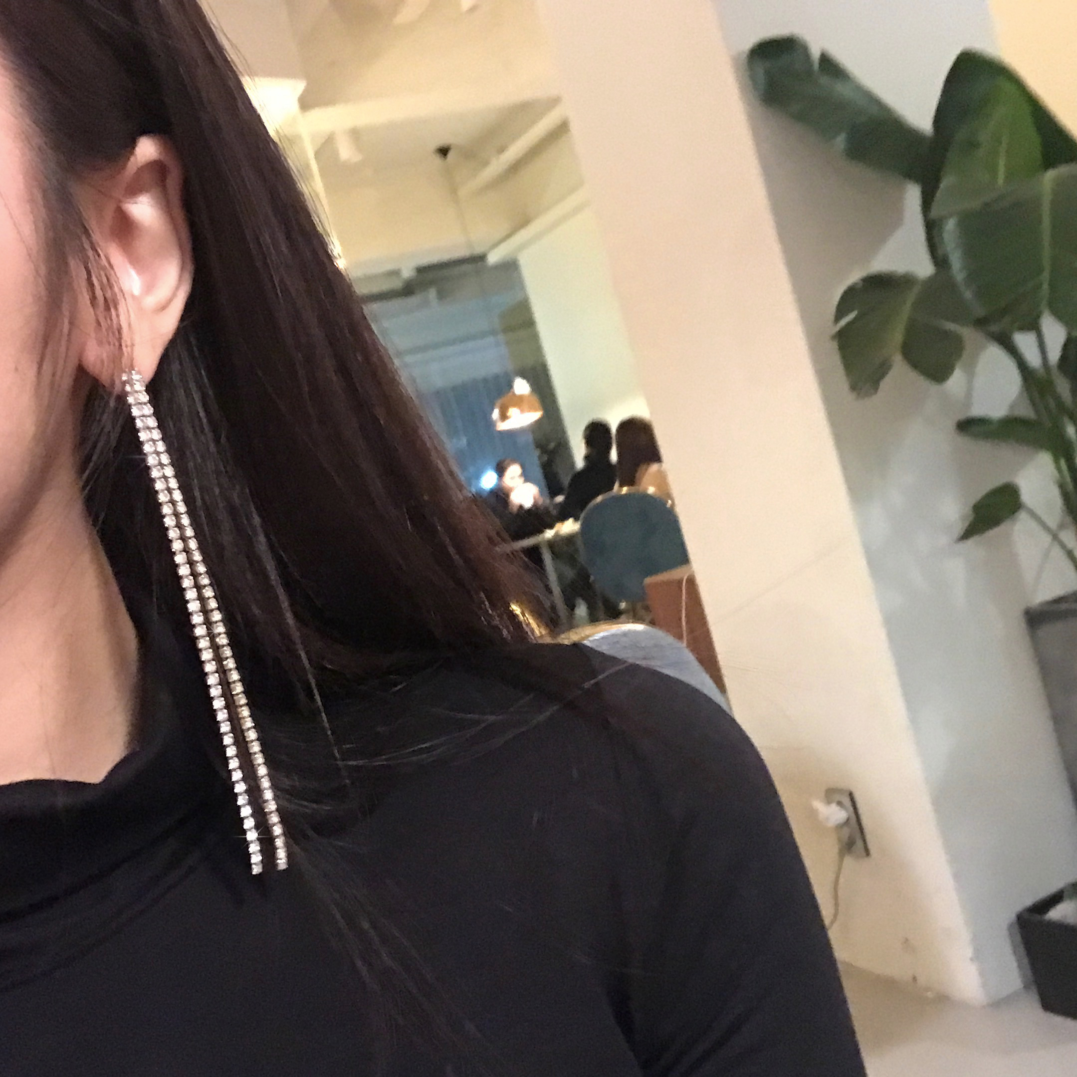 Two-line cubic drop earrings Women's long chain