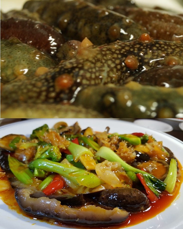 활해삼500g 1kg 국산해삼 생해삼 자연산 산지직송 - 상세 이미지 4