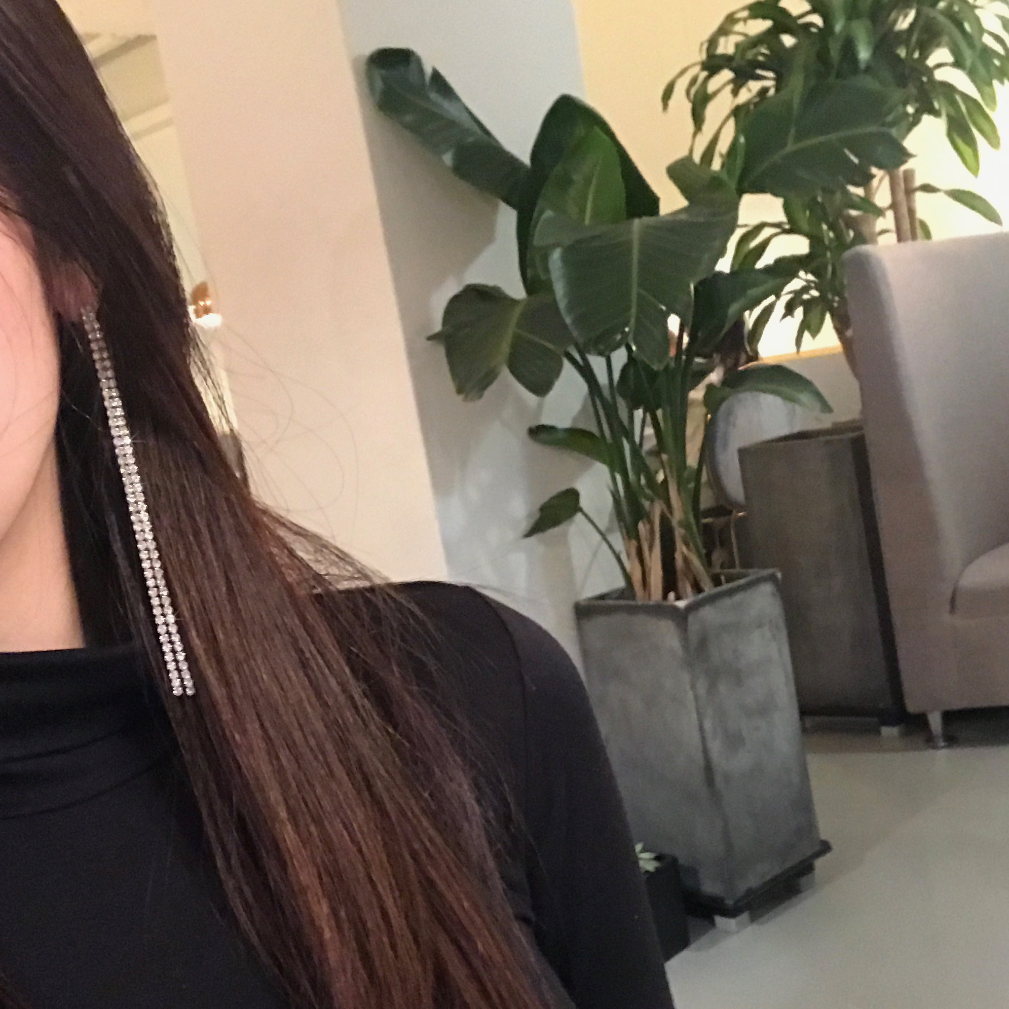 Two-line cubic drop earrings Women's long chain