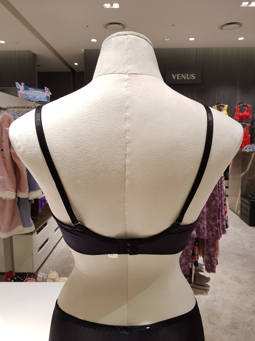 Wacoal Angel Angel embroidery 3 4 cup bra WBR1876C