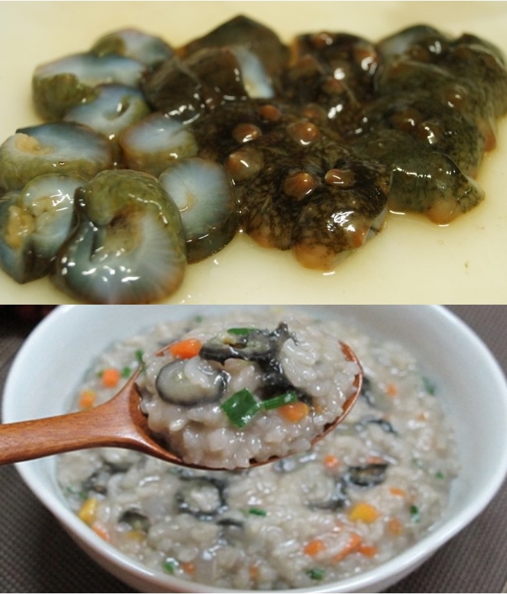 활해삼500g 1kg 국산해삼 생해삼 자연산 산지직송 - 상세 이미지 3