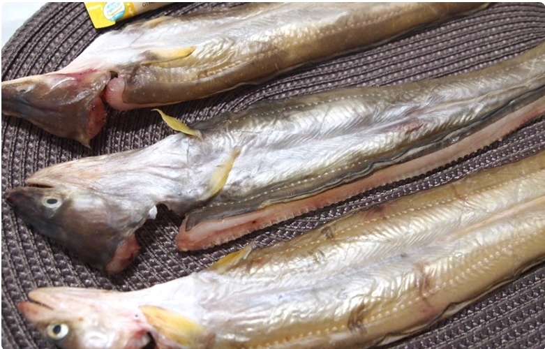 말린 바다장어 건장어 (대) 500g 반건조 장어 장어구이 조림 - 상세 이미지 2