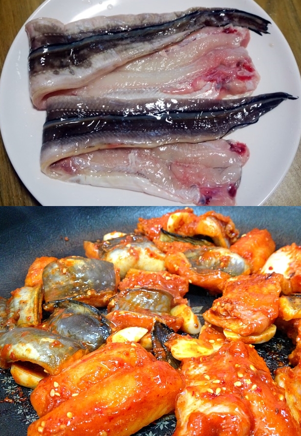 바다장어 붕장어 장어탕용 500-1kg 생장어 장어구이 장어탕 아나고 - 상세 이미지 3