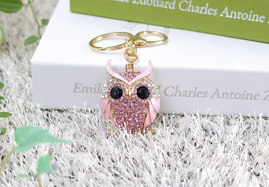 Blessing Dongle Owl Keyring Keychain Car Key Chain